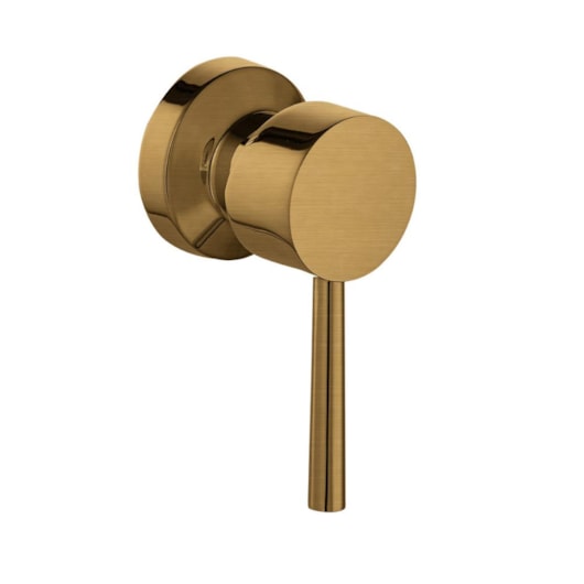 Acabamento De Registro De Pressão E Gaveta Base Deca E Meber Dourado Escovado Kromma - Imagem principal - 0a5231b3-ce4b-4bae-9018-e7828fcc12b8