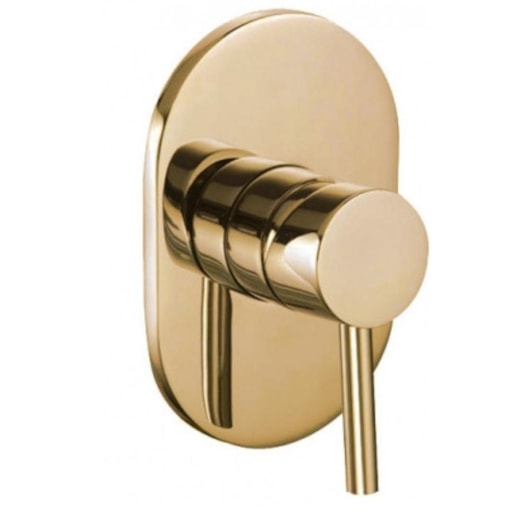 Acabamento Misturador Monocomando Para Chuveiro Rb71367 Dourado Rubinettos 40mm - Imagem principal - 6a885eb7-ea71-4bbb-b802-5b1555364608