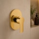 Acabamento Misturador Monocomando Para Ducha Higiênica Base Deca Gold Matte Kromma - dfdd59fe-74bb-49e0-a329-3d4bdb880591