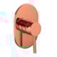 Acabamento Misturador Para Base Chuveiro Kr707 Coral Light Matte Kromma 4,5cm - 3d5a67b7-f8ea-481b-834b-59abdd4e3f89