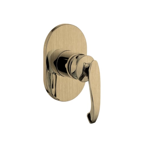 Acabamento Misturador Para Chuveiro Deca Rb8090 Dourado Escovado Rubinettos - Imagem principal - c720b7e6-2570-4e71-965b-744d6e006e66
