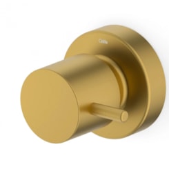 Acabamento para Registro de Gaveta e Pressão Base Deca 1/2 3/4 1 Basic Gold Matte Celite