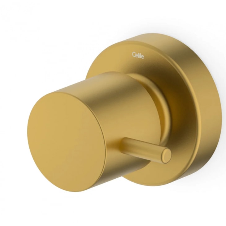 Acabamento para Registro de Gaveta e Pressão Base Deca 1/2, 3/4 1 Basic Gold Matte Celite