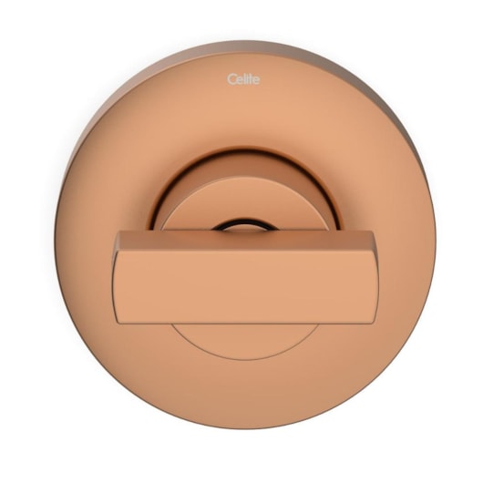 Acabamento para Registro de Gaveta e Pressão Base Deca 1/2 3/4 1 Flow Rose Gold Matte Celite - Imagem principal - c92e9319-2581-4749-aec2-6c7565668eec