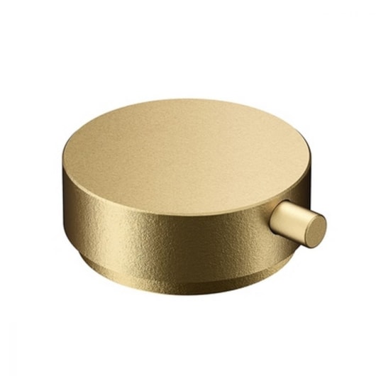 Acionamento De Torneira Para Banheiro Docol Conexões Espontâneas Ouro Jateado - Imagem principal - 1a27670b-a2a2-47cd-aca7-cb3dc0816859