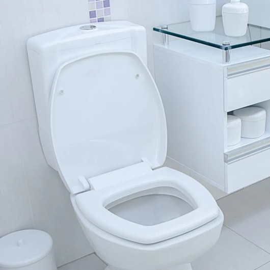 Assento Sanitário com Soft Close Thema Branco Astra - Imagem principal - 042b06c3-77d4-48ff-8ecf-bde1c3b7cca7