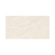 Azulejo Eliane Mahal Edro Marfim Acetinado 32x60m Retificado - 84960695-e4cc-4989-8dad-1d6db87f16a5