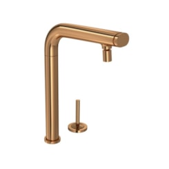 Bica Para Monocomando De Cozinha De Mesa You Click Red Gold Deca