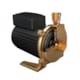 Bomba Centrifuga Evvolution Evvo Bronze 120 3/4CV 220V Komeco - ecae6aa4-b04f-430e-b932-0d1717c8062c