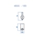 Cabide 4600 Lunna 185 Champanhe Fani - 4f27f59c-aa5e-4934-87b8-78477763f9d6