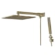 Chuveiro Articulado Com Desviador Metal Eros 640 Ouro Velho Fani - 122e7050-fbe1-40d4-9d32-e1044bb5bc1a
