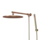 Chuveiro Articulado De Parede Com Desviador Metal Atenas Champagne Fani - 6b8cf8a1-0be0-4af6-b212-68204f1fa0d9