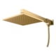 Chuveiro Articulado De Parede Com Desviador Versata 120 Fani Metais D'oro Vecchio - 8252ade4-4e74-4a97-a843-d53ac383a9bb