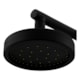 CHUVEIRO ARTICULADO DE PAREDE METAL 1/2 MIX PLUS AUTOLIMP 3000 C501 Black FANI METAIS - 43370a53-b8c6-47a1-80f9-b0ea2fae4221