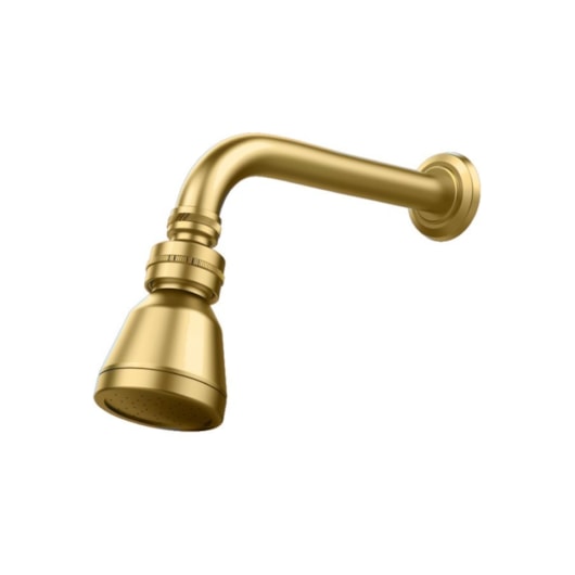 Chuveiro Articulado De Parede Metal  Doro Vecchio Fani - Imagem principal - 27ddc3ba-c926-45e5-9c6f-3db87a97fe0a