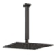 Chuveiro Articulado De Teto Metal Eros Preto Fosco Fani - 9942766f-01b4-4667-bb80-813ab18f11eb