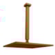Chuveiro Articulado De Teto Metal Eros Rosso Vecchio Fani - c18bb6fd-179f-457d-b9e5-267f8c4efaa8