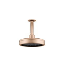 Chuveiro Articulado De Teto Metal  Plus 501 10cm 3200 1/2 Champagne Fani