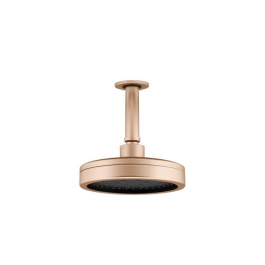Chuveiro Articulado De Teto Metal  Plus 501 10cm 3200 1/2 Champagne Fani - Imagem principal - 6b8262d4-d0d8-45d7-92fb-3bb8a77d575a