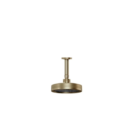 Chuveiro Articulado De Teto Metal  Plus 501 10cm 3200 1/2 Ouro Velho Fani - Imagem principal - da581a6d-3d27-4296-b33f-036235546571