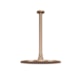Chuveiro Articulado De Teto Metal Safira Champanhe Fani - 9f0d8483-8481-442f-bd16-43b01e8b1679