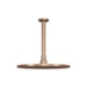 Chuveiro Articulado De Teto Metal Safira Champanhe Fani - d68bc55f-45ed-4ff7-811b-1845f7e1079b