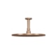Chuveiro Articulado De Teto Metal Safira Champanhe Fani - 47797326-5b87-4066-a80b-e7f5af44a62c