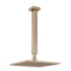 Chuveiro Articulado De Teto Metal Versata  Champagne Fani - b7ce9d1d-5a10-4dbf-8fd3-eca9daa894c4