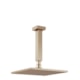 Chuveiro Articulado De Teto Metal Versata Champagne Fani - 98e5df54-e636-47c8-9f44-de5cd167b5b3