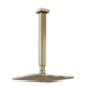 Chuveiro Articulado De Teto Metal Versata Ouro Velho Fani - e1733764-66a7-448b-b49c-625c8a3f3706