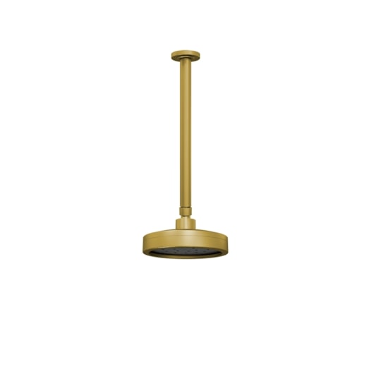 Chuveiro Articulado De Teto Mix Plus 501 Fani - Imagem principal - 980ea9cd-9b83-4ba7-b4f1-d619f3ebfd9c