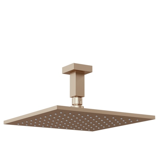 Chuveiro Articulado Platina 400 De Teto Metal 10cm Champagne Fani - Imagem principal - 394e4b82-dec5-403c-a6d5-f19259053481