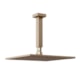 Chuveiro Articulado Platina 400 De Teto Metal 20cm Champagne Fani - 1571bf84-a4d5-4672-a175-36843f718abe