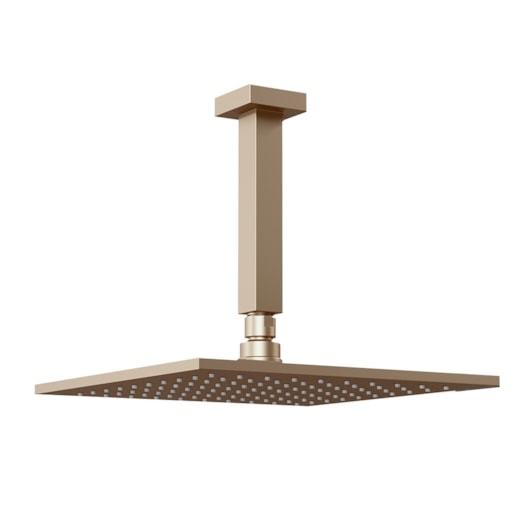Chuveiro Articulado Platina 400 De Teto Metal 20cm Champanhe Fani - Imagem principal - f33c2db4-0de4-4b57-81e3-16a67bd855f2