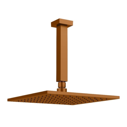Chuveiro Articulado Platina 400 De Teto Metal 20cm Rosso Vecchio Fani - Imagem principal - 92b9f4cc-a3a3-4445-b407-d9f6e27d6a6b