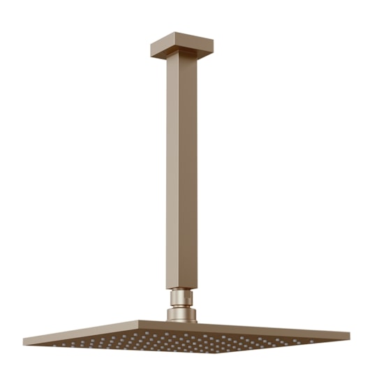 Chuveiro Articulado Platina 400 De Teto Metal 30cm Champagne Fani - Imagem principal - 9f1a0744-c095-42d2-872a-e758400cb8ee