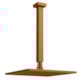 Chuveiro Articulado Teto 30Cm Platina 400 3100 Rosso Vecchio Fani Metais - 8cda92b3-dc72-4f8f-b299-27f7abbeb41a