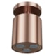 Chuveiro Com Arejador De Teto Crivo Cobre Escovado Mix&Match Docol - 0dbdea1d-8c51-4d7d-b6a0-108d4b885756