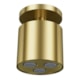 Chuveiro Com Arejador De Teto Crivo Ouro Escovado Mix&Match Docol - 8fdfada4-accc-457b-b60a-b036cb3e6b1e