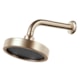 Chuveiro de Parede Articulado Autolimpante Metal Mix 3000 CH500 Champanhe Fani - fc3c6587-8622-4f27-9731-b1e4b3c0ea52