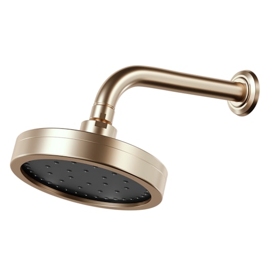 Chuveiro de Parede Articulado Autolimpante Metal Mix 3000 CH500 Champanhe Fani - Imagem principal - fa54adf7-1d6a-4968-a1b7-5fe2e8c56daa