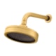Chuveiro de Parede Articulado Autolimpante Metal Mix 3000 DV500 D'Oro Vecchio Fani - 8b1ff503-3779-4c7d-a94c-9c4ee24b4cc1