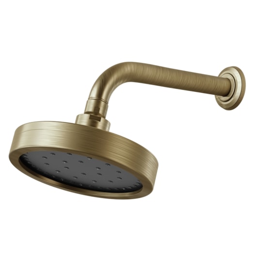 Chuveiro de Parede Articulado Autolimpante Metal Mix 3000 OV500 Ouro Velho Fani - Imagem principal - 697d1c84-f8ca-4bc0-bc69-fc8243599406