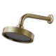 Chuveiro de Parede Articulado Autolimpante Metal Mix 3000 OV500 Ouro Velho Fani - bb962640-1097-44aa-8dcd-9c5c2b93eb71