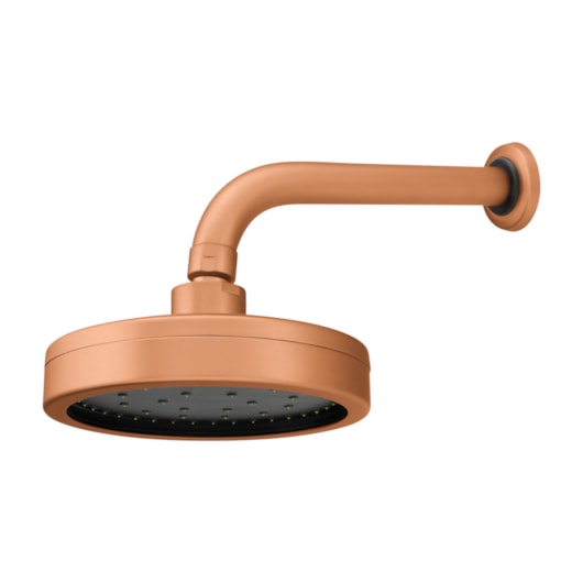 Chuveiro de Parede Articulado Autolimpante Metal Mix 3000 RV500 Rosso Vecchio Fani - Imagem principal - aa732d2b-1ce1-496c-9947-f8aab4cb1039