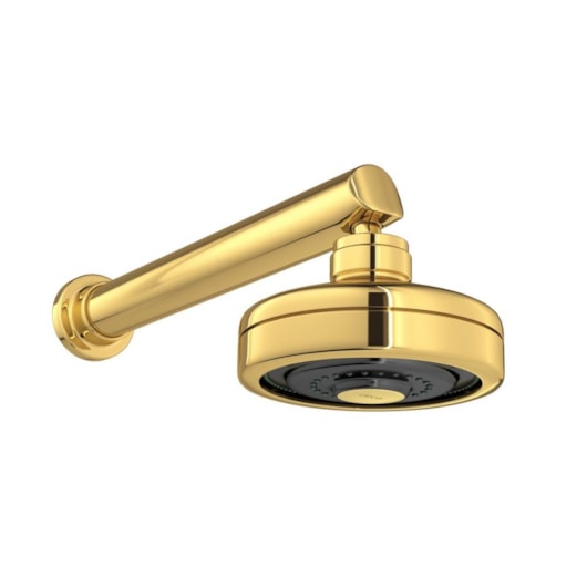 Chuveiro De Parede Redondo Acqua Plus 1990 Com Tubo Reto Gold Deca - Imagem principal - ccb2c8c9-f2af-463d-b983-41b56b760f39