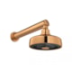 Chuveiro De Parede Redondo Acqua Plus Com Tubo Reto Gold Red Deca - e15a0ca3-6322-4f73-850e-9030a0b3f4c9