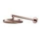 Chuveiro De Parede Redondo Eden R200 Cobre Escovado Docol - efbfe64f-4fd9-4a8c-a530-8b22cca384a6