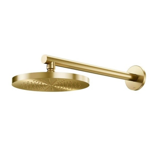 Chuveiro De Parede Redondo Eden R200 Ouro Escovado Docol - Imagem principal - b4f0b700-3324-4d5f-bd52-f66799c897ef