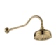 Chuveiro De Parede Retro Rb6857 Champagne Matte Rubinettos - 46c0a8e3-b3d2-406a-936c-7c0673ac89f5